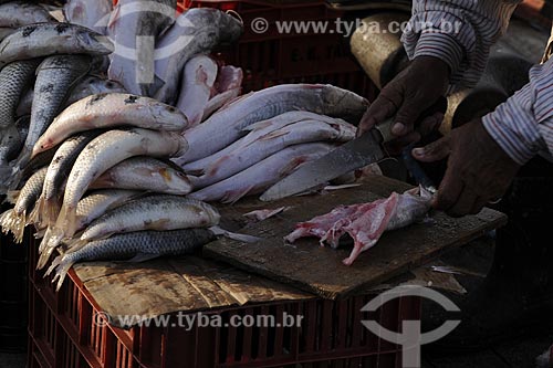  Subject: Fish fair- Ver-o-peso Market (See the Weight Market) / Place: Belem City - Para State - Brazil / Date: 10/13/2008 