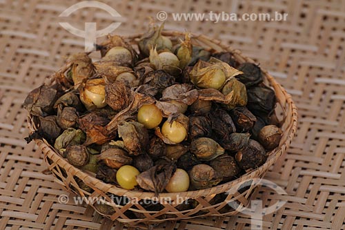  Subject: Basket with Camapu berry (Ground-Cherry berry) / Place: Belem City - Para State - Brazil / Date: 10/13/2008 