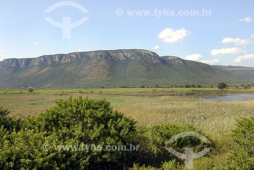  Subjcet: Savana vegetation - Ghost Mountain - Umbombo Mountain / Place: Mkuze Village - Kwazulu Nata Province - South Africa / Date: 03/13/2007 