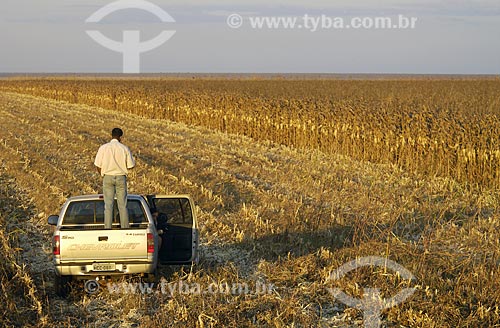  Subject: Producer looking the cornfield / Place: Sapezal City - Mato Grosso State - Brazil / Date: 06/12/2007 