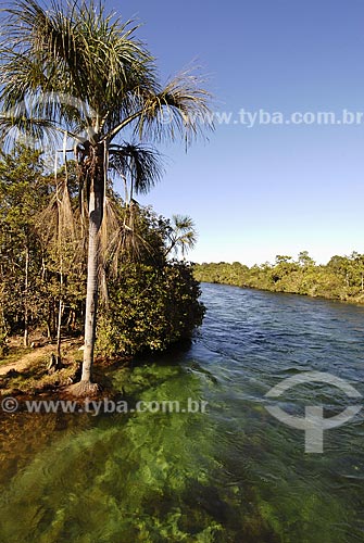 Subject: Rio Verde (Green River) / Place: Campo Novo dos Parecis City - Mato Grosso State - Brazil / Date: 06/13/2007 