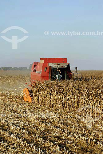  Subject: Corn harvest / Place: Sapezal City - Mato Grosso State - Brazil / Date: 06/13/2007 