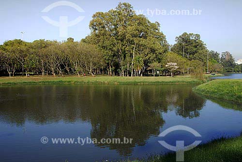  Subject: Ibirapuera Park - Blue Jacaranda (Jacaranda Mimosaefolia) in winter / Place: Sao Paulo city - Sao Paulo State - Brazil / Date: 09/06/2007 