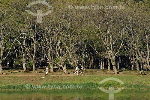  Subject: Ibirapuera Park - Blue Jacaranda (Jacaranda Mimosaefolia) in winter / Place: Sao Paulo city - Sao Paulo State - Brazil / Date: 09/06/2007 