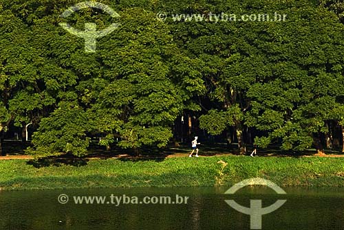  Subject: Ibirapuera Park - Blue Jacaranda (Jacaranda Mimosaefolia) in autumn / Place: Sao Paulo city - Sao Paulo State - Brazil / Date: 06/10/2007 