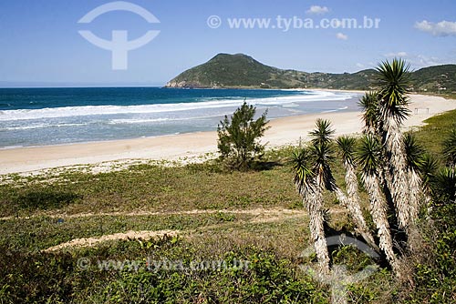  Subject: Silveira Beach / Place: Garopaba city - Santa Catarina state - Brazil / Date: 09/17/2008 