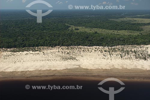  Subject: Ecological Station of Anavilhanas (ESEC), in Rio Negro (Black River) / Place: Amazonas state - Brazil / Date: 10/26/2007 