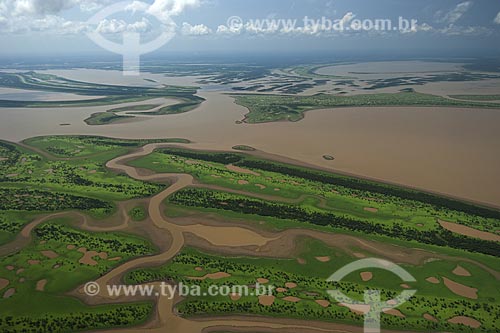 Subject: Amazon flooded forest in the south of Itacoatiara city, rich in lakes, holes, channels / Place: Amazonas state - Brazil / Date: 10/29/2007 
