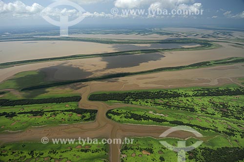  Subject: Amazon flooded forest in the south of Itacoatiara city, rich in lakes, holes, channels / Place: Amazonas state - Brazil / Date: 10/29/2007 