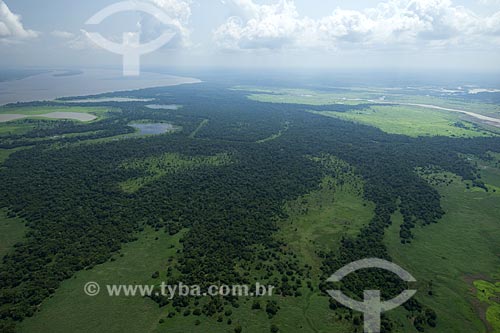  Subject: Amazon flooded forest in the south of Itacoatiara city, rich in lakes, holes, channels / Place: Amazonas state - Brazil / Date: 10/29/2007 