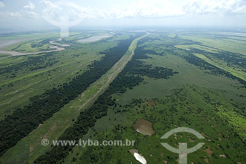  Subject: Flooded forest of Amazon river, south of Itacoatiara / Place: Amazonas state - Brazil / Date: 10/29/2007 