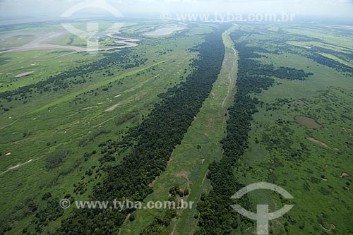  Subject: Flooded forest of Amazon river, south of Itacoatiara / Place: Amazonas state - Brazil / Date: 10/29/2007 