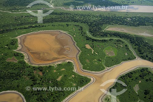  Subject: Flooded forest of Amazon river, south of Itacoatiara / Place: Amazonas state - Brazil / Date: 10/29/2007 