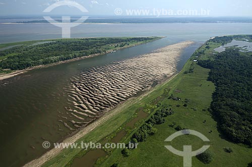  Subject: Meeting of Madeira and Amazon rivers, on the right bank of the Amazon River / Place: Amazonas state - Brazil / Date: 10/29/2007 
