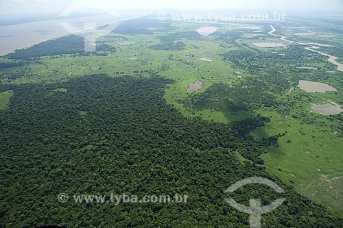  Subject: Flooded forest of Amazon river, south of Itacoatiara / Place: Amazonas state - Brazil / Date: 10/29/2007 