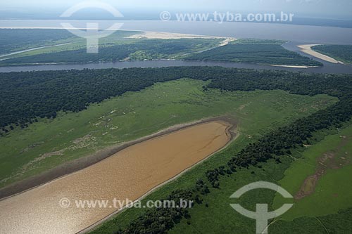  Subject: Lake floodplain of the Amazon River, south of Itacoatiara cities / Place: Amazonas state - Brazil / Date: 10/29/2007 