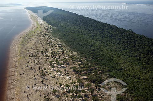  Subject: Beach at Anavilhanas Ecological Station (ESEC), in Rio Negro (Black River) / Amazonas state - Brazil / Date: 10/26/2007 