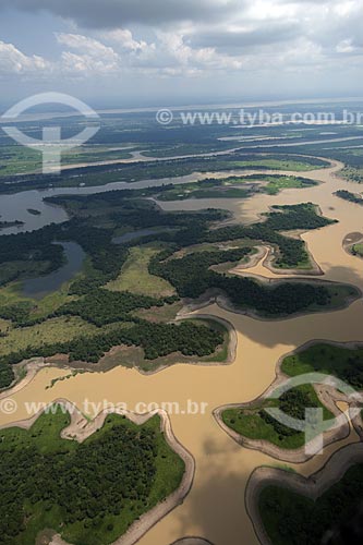 Subject: Flooded Forest of the right bank of the Amazon River, between Manaus and Itacoatiara cities / Place: Amazonas state - Brazil / Date: 10/29/2007 
