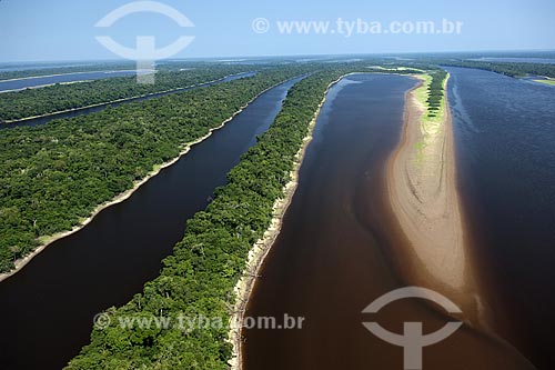  Subject: Igapó forest at the Ecological Station of Anavilhanas in Rio Negro (Black River) / Place: Amazonas state - Brazil / Date: 10/26/2007 