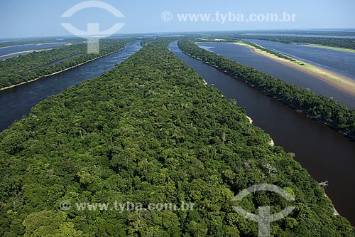  Subject: Igapó forest at the Ecological Station of Anavilhanas in Rio Negro (Black River) / Place: Amazonas state - Brazil / Date: 10/26/2007 
