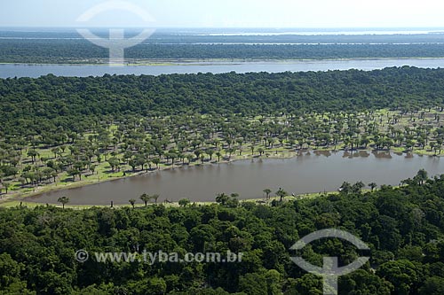  Subject: Anavilhanas Ecological Station (ESEC), in Rio Negro (Black River) / Place: Amazonas state - Brazil / Date: 10/26/2007 