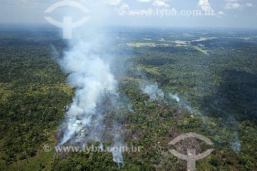  Subject: Burn in floodplain rural regions of the right bank of the Amazon River, between Manaus and Itacoatiara cities / Place: Amazonas state - Brazil / Date: 10/29/2007 