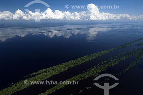  Subject: Anavilhanas Ecological Station (ESEC), in rio Negro (Black River) above Manaus city / Place: Amazonas state - Brazil / Date: 06/30/2007 