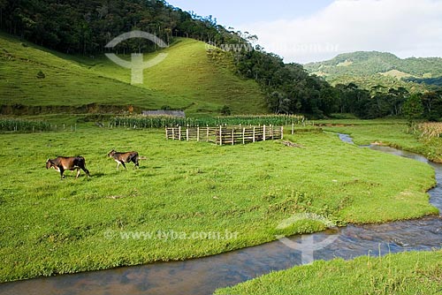 Subject: Rural landscape / Place: Santa Isabel District - Aguas Mornas City - Santa Catarina State - Brazil / Date: February 2009 