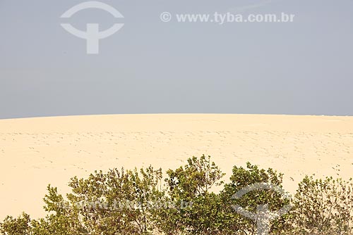  Subject: View of dune / Place: Sao Gonçalo do Amarante City - Ceara State - Brazil / Date: January 2009 