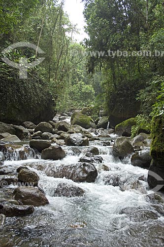 Subject: River - Area of Environmental Protection`s Alambari Serrinha (Serrinha do Alambari) - Mantiqueira Mountain Range / Place: Resende City - Rio de Janeiro State - Brazil / Date: April 2007 