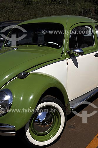  Subject: Volkswagen Beetle or volkswagen Type 1 / Date: April 2009 