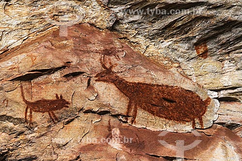  Cave Paintings at the archaeological site of Pedra Pintada  - Barao de Cocais city - Minas Gerais state (MG) - Brazil