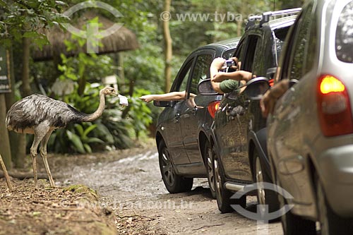  Subject: Visitors feeds an emu in Sao Paulo Zoo, the biggest in Latin America / Place: Sao Paulo city - Sao Paulo state - Brazil / Date: 2008 