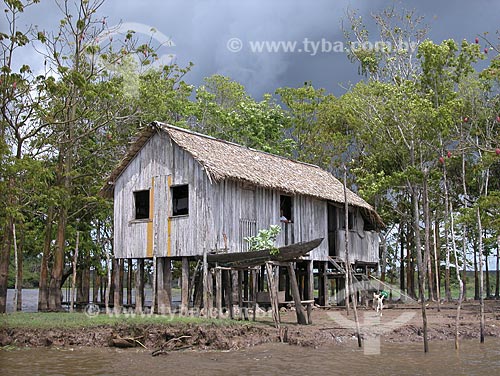  Subject: Typical varzea house - Palafito - Amazonas River / Place: Near Parintins City - Amazonas State - Brazil / Date: August 2003 