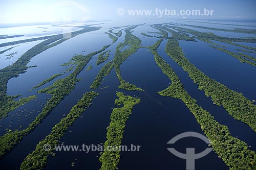  Subject: Aerial view of Anavilhanas Ecological Station (ESEC) / Place: Rio Negro (Black River) - Amazonas State - Brazil / Date: June 2007 