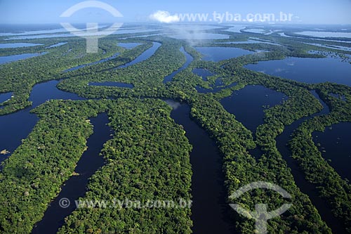  Subject: Aerial view of Anavilhanas Ecological Station (ESEC) / Place: Rio Negro (Black River) - Amazonas State - Brazil / Date: June 2007 