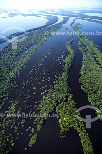  Subject: Aerial view of Anavilhanas Ecological Station (ESEC) / Place: Rio Negro (Black River) - Amazonas State - Brazil / Date: June 2007 