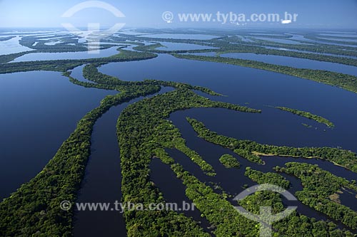  Subject: Aerial view of Anavilhanas Ecological Station (ESEC) / Place: Rio Negro (Black River) - Amazonas State - Brazil / Date: June 2007 