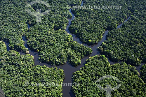  Subject: Aerial view of Anavilhanas Ecological Station (ESEC) / Place: Rio Negro (Black River) - Amazonas State - Brazil / Date: June 2007 