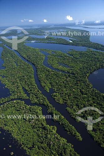  Subject: Aerial view of Anavilhanas Ecological Station (ESEC) / Place: Rio Negro (Black River) - Amazonas State - Brazil / Date: June 2007 