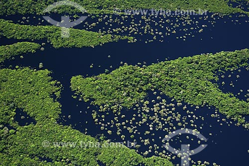  Subject: Aerial view of Igapo, a flooded section of the forest / Place:  Rio Negro (Black River) near Manaus City - Amazonas State - Brazil / Date: June 2007 