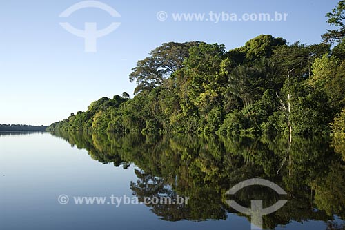  Subject: Igapo, a flooded section of the forest - Black River (Rio Negro) - Anavilhanas Ecological Station / Place: Amazonas State - Brazil / Date: July 2007 
