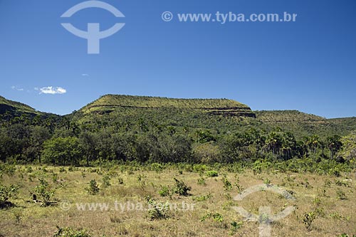  Subject: Cerrado (Brazilian Savanna) in Lajeado ridge / Place: Tocantins state - Brazil / Date: June 2006 