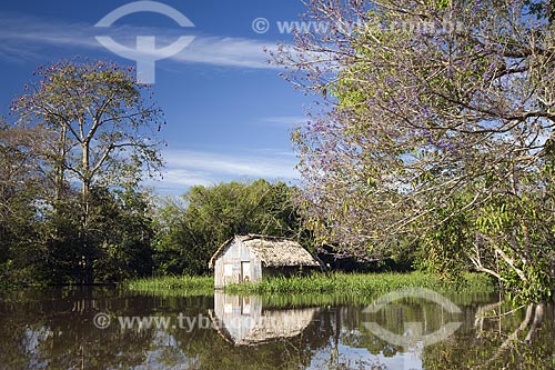  Subject: Riverside house in Amazon lowland forest during the flood season / Place: Para (PA) - Brazil / Date: June 2006 