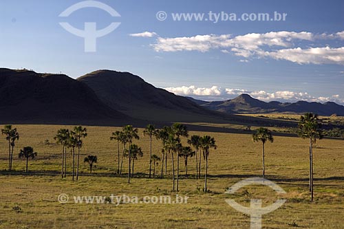  Subject: View of Jardim de Maytrea (Maytrea Garden) - Chapada dos Veadeiros National Park / Place: Goias state - Brazil / Date: June 2006 