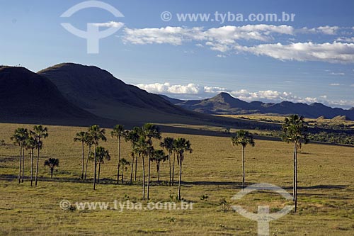  Subject: View of Jardim de Maytrea (Maytrea Garden) - Chapada dos Veadeiros National Park / Place: Goias state - Brazil / Date: June 2006 