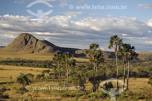  Subject: View of Jardim de Maytrea (Maytrea Garden) - Chapada dos Veadeiros National Park / Place: Goias state - Brazil / Date: June 2006 