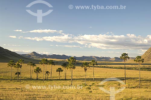  Subject: View of Jardim de Maytrea (Maytrea Garden) - Chapada dos Veadeiros National Park / Place: Goias state - Brazil / Date: June 2006 