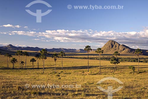  Subject: View of Jardim de Maytrea (Maytrea Garden) - Chapada dos Veadeiros National Park / Place: Goias state - Brazil / Date: June 2006 