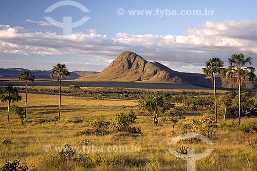  Subject: View of Jardim de Maytrea (Maytrea Garden) - Chapada dos Veadeiros National Park / Place: Goias state - Brazil / Date: June 2006 